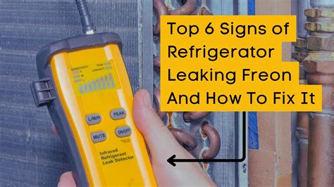 is freon leak in fridge dangerous|5 Signs of a Freon Leak in Your Refrigerator